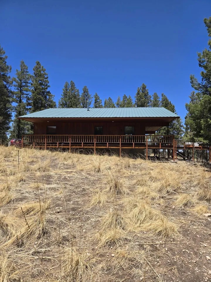 The rust-red cabin on its grassy hilltop, green metal roof and wraparound deck catching full sun, ponderosa pines behind and dry mountain grass in the foreground