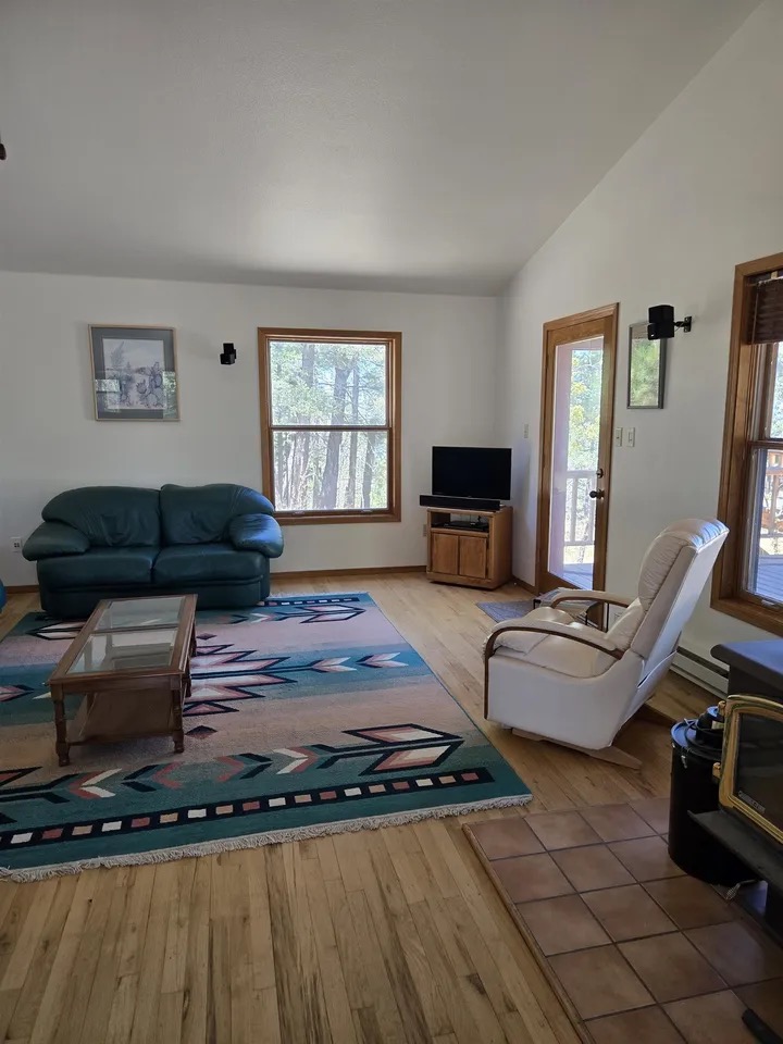 Living area under the vault with a Southwestern rug, leather seating, wood-trimmed windows looking into the pine forest, and a wood stove